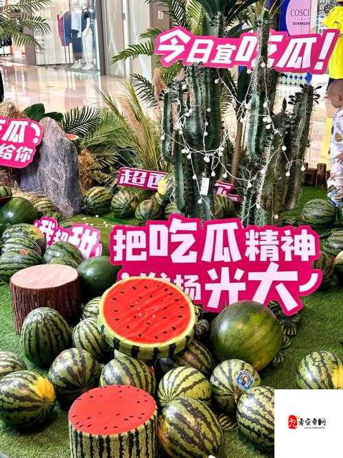 五一吃瓜趣事多：畅享假期欢乐与瓜田精彩