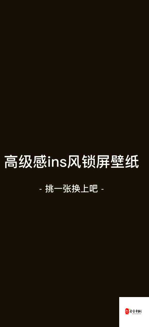 Yp98711 换哪了：探寻其背后的故事与可能去向