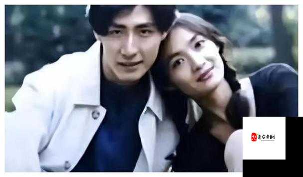 成全免费高清电影：带你畅享视觉盛宴