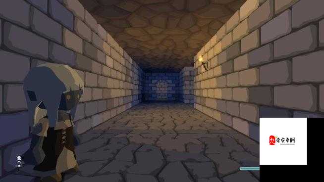 Another Girl in the Wall：神秘游戏背后的奇幻冒险