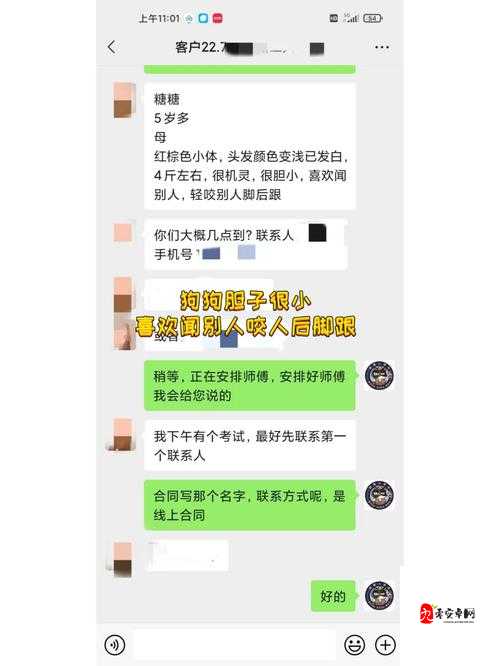 女狗任务表：探索女狗的奇妙任务与精彩历程
