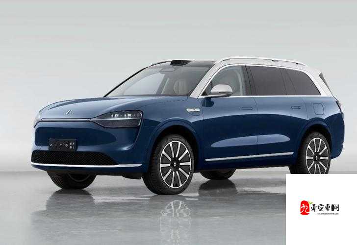 x9x9x9x9x 任意槽 2024 进口：相关产品详细介绍与优势分析