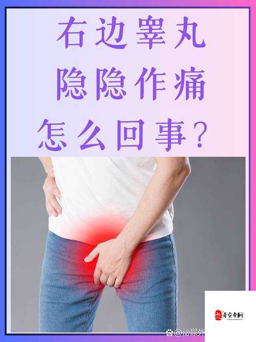 硬了一晚上睾丸疼恢复时长究竟需多久