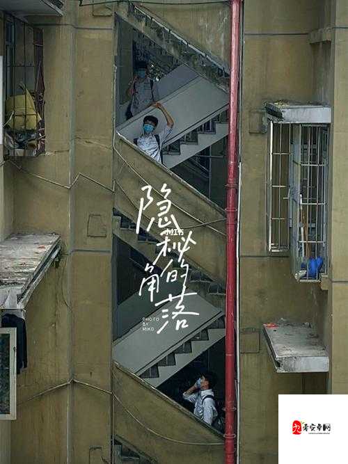 海角乱偷窥：窥探世界的隐秘角落