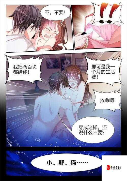 男人插女人网站在线观看：成人伦理片的禁地