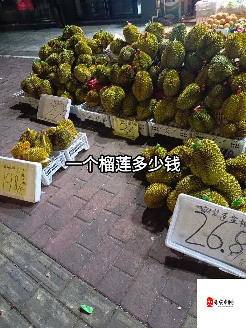 榴莲视频正品进入：畅享高品质视频盛宴