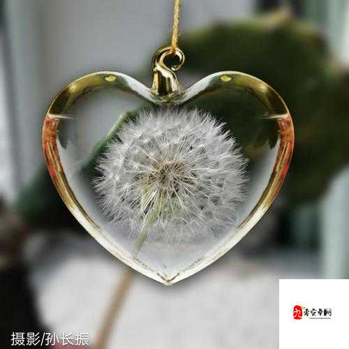 胸前那柔软掌心温热带来的奇妙触动与感受