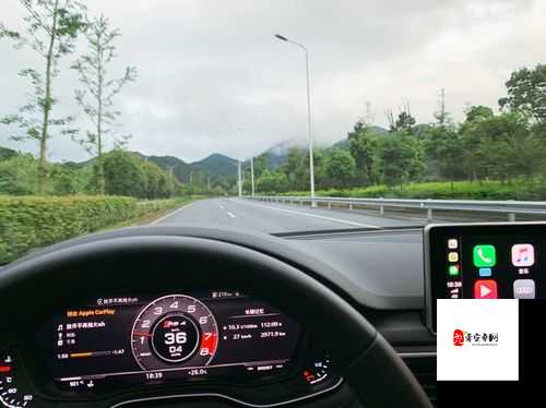 肉肉的车：独特魅力引领别样出行风尚