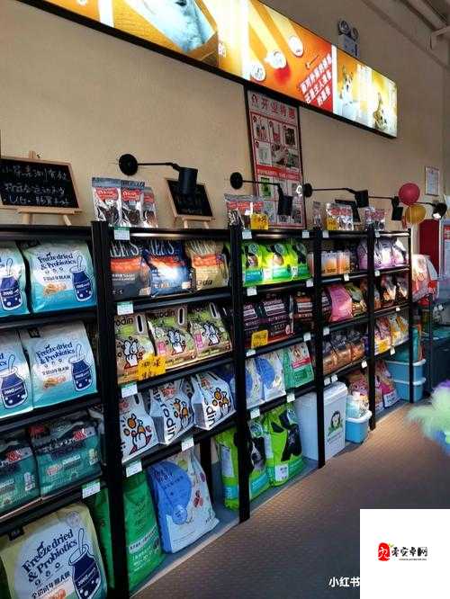 宠物护理店，解锁宠物幸福生活的秘密钥匙