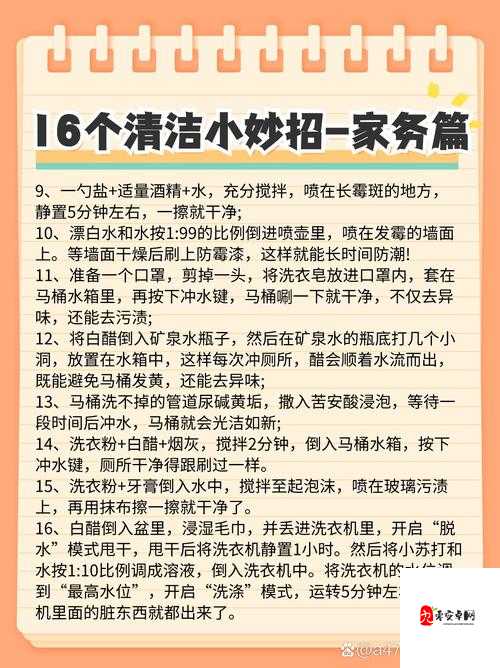 家居焕新颜，解锁家庭卫生打扫的高效秘籍