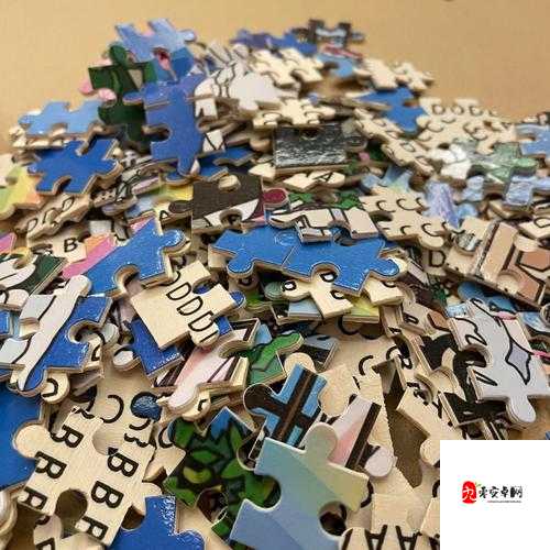 液态拼图在被子液体满载情境下的排序分类与资源管理