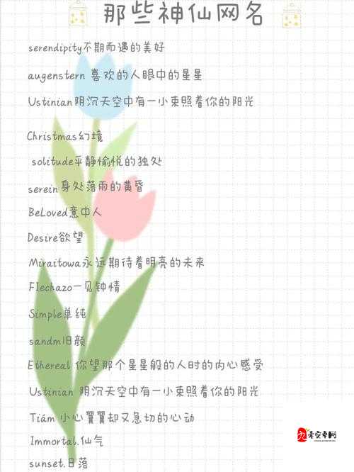 汤姆叔叔最新地域网名取名技巧之详细解读与实用建议
