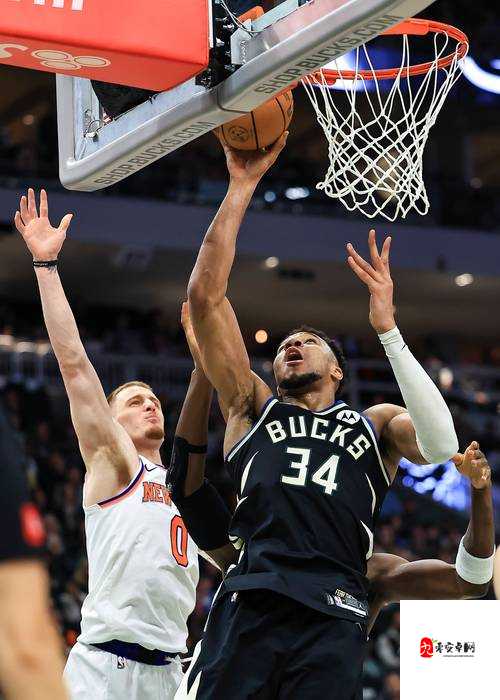 观看 nbaoffice68 在线直播，畅享精彩赛事