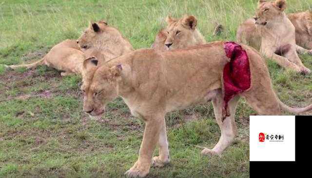 灌水按压肚子哭：一段令人揪心的独特经历详述