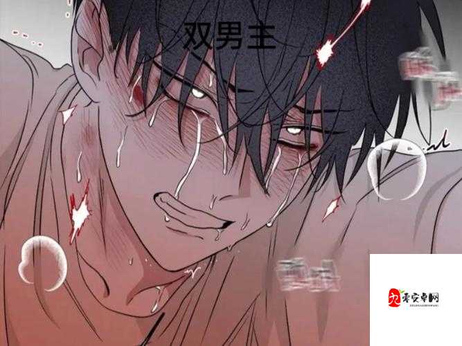 啊哈哈哈哈主人我错了哈哈哈哈柯：一场令人捧腹的道歉闹剧