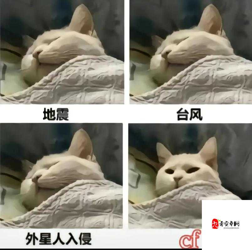 魔性表情包，合理规划，快速提分——资源管理在游戏中的艺术