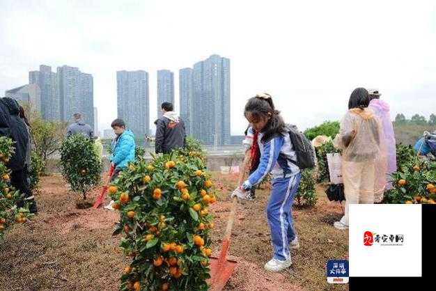 麻花传媒沈芯语老师家访引发关注热议