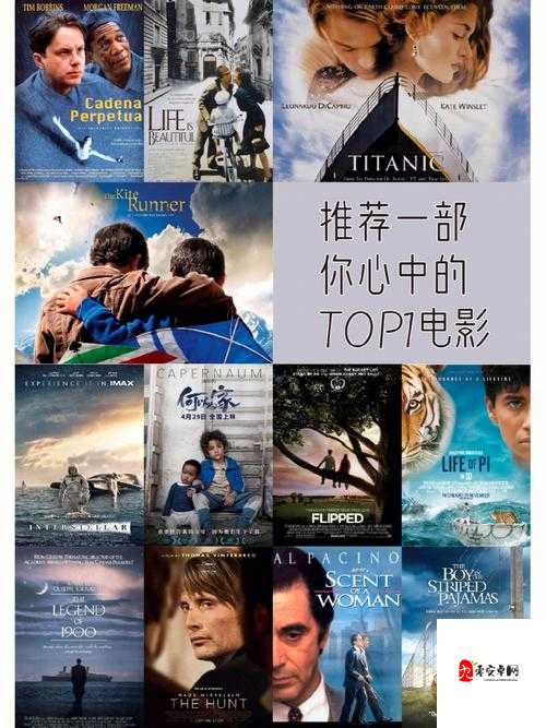 我需要爸爸播种美国电影：一场独特的观影体验