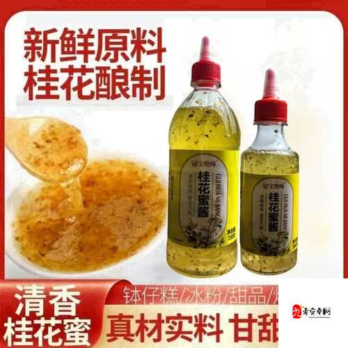 酿酿酱酱啥意思：探究这一独特表述背后的含义