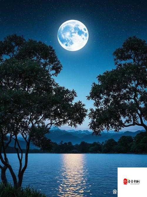 月夜直播免费看：一起享受宁静夜晚的视觉盛宴