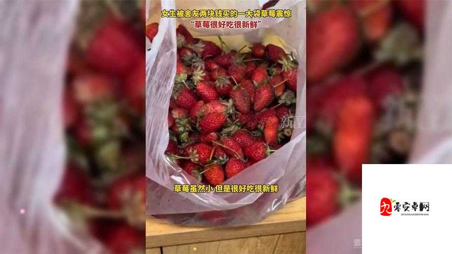 草莓视频怎么恢复：解决方法与注意事项