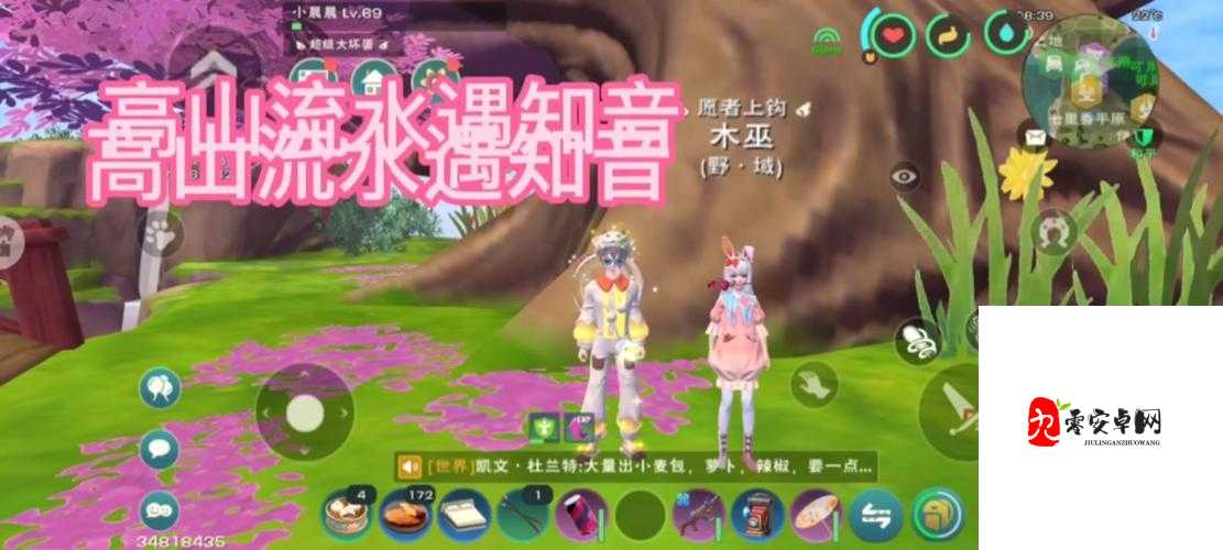 创造与魔法结缘流程分享及结缘注意事项在资源管理中的重要性