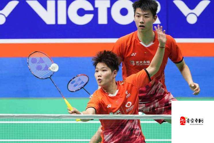 超级羽毛球联赛，如何通过精准操控人物操作赢得比赛胜利的深度解析