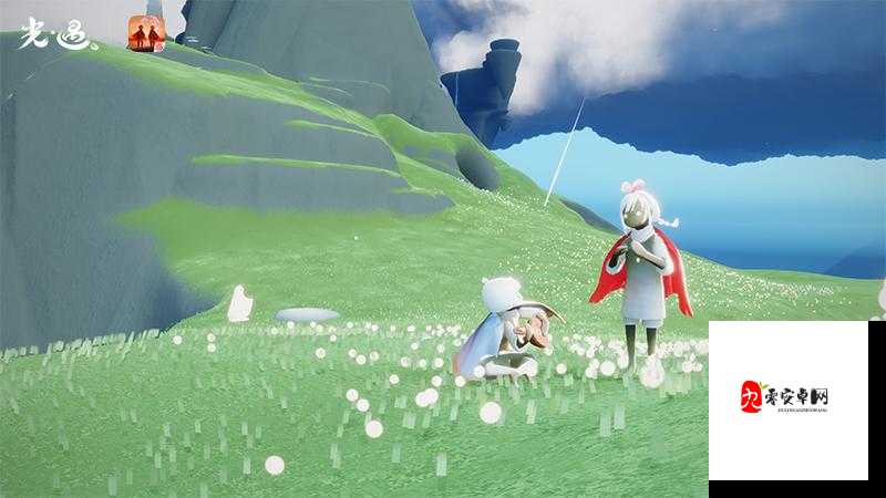 m 圈 100 个任务：开启全新挑战之旅