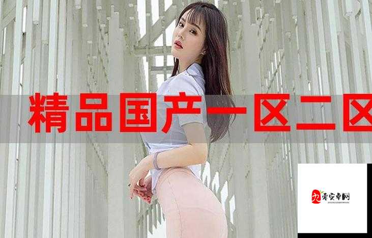 欧美精产国品一二三产品测评：深度剖析与全面解读