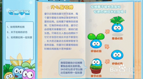 摩尔庄园拉姆升级秘籍，解锁特色玩法，打造专属萌宠传奇