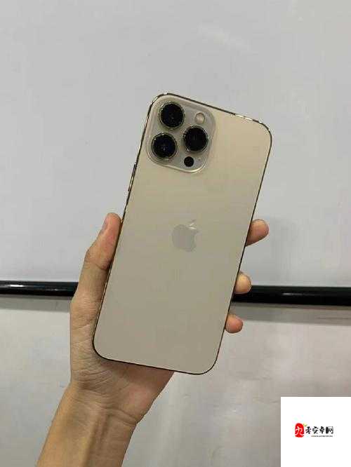 王阿姨的 IPHONE13：她的生活必备品