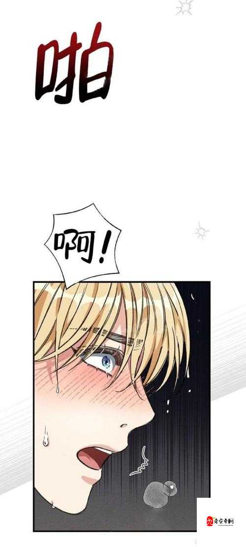 严选漫画浏览入口平台：优质漫画的专属汇聚之地