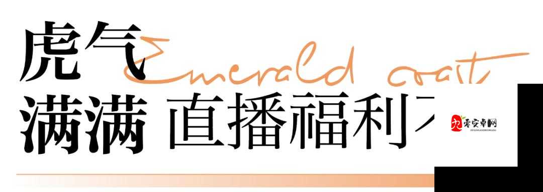 b 站直播间在线观看人数 1 万：人气火爆非凡