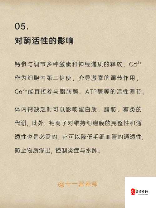 GGY 钙：一种具有重要作用和广泛应用前景的物质