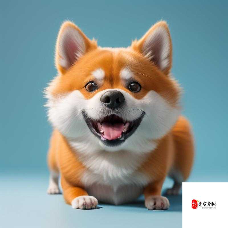 人狗畜禽companylimited：一家独特而有趣的公司