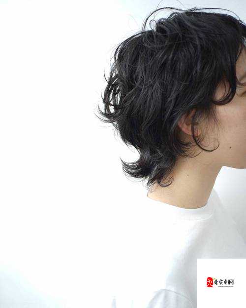 公主美发时尚论，解锁皇室风采的密钥发型