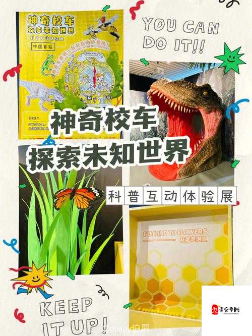 17c 视频历史观看记录：探索未知的世界