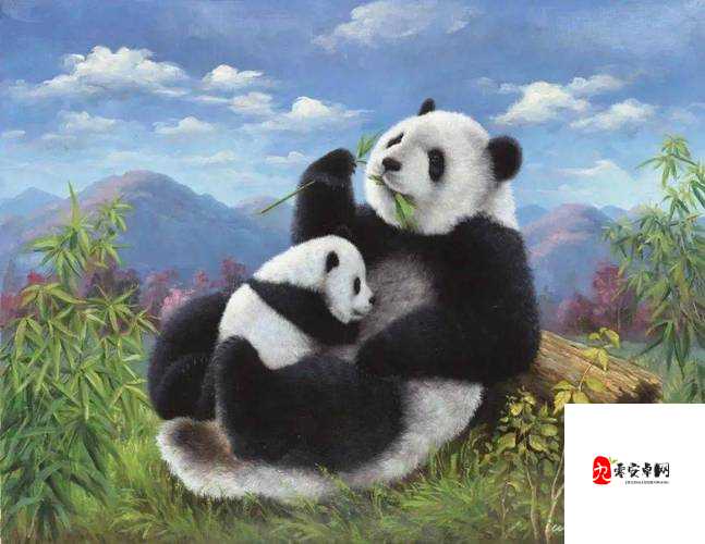 大屄屄的独特魅力与非凡之处