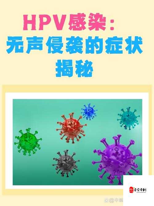 和几个人发生过关系才会得 HPV 这一问题的深入探讨与分析