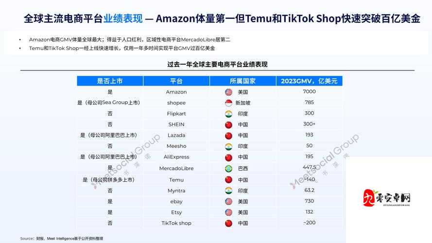 2024 年 AMAZone 欧洲站市场趋势分析-深度洞察与未来展望