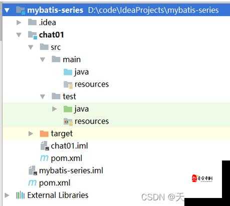 JAVA 强行视频另类之独特魅力探索