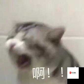 在上面做时疯狂得犹如陷入癫狂状态