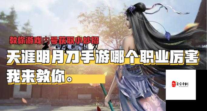 天涯明月刀手游白鹭洲通关秘籍，解锁高效玩法