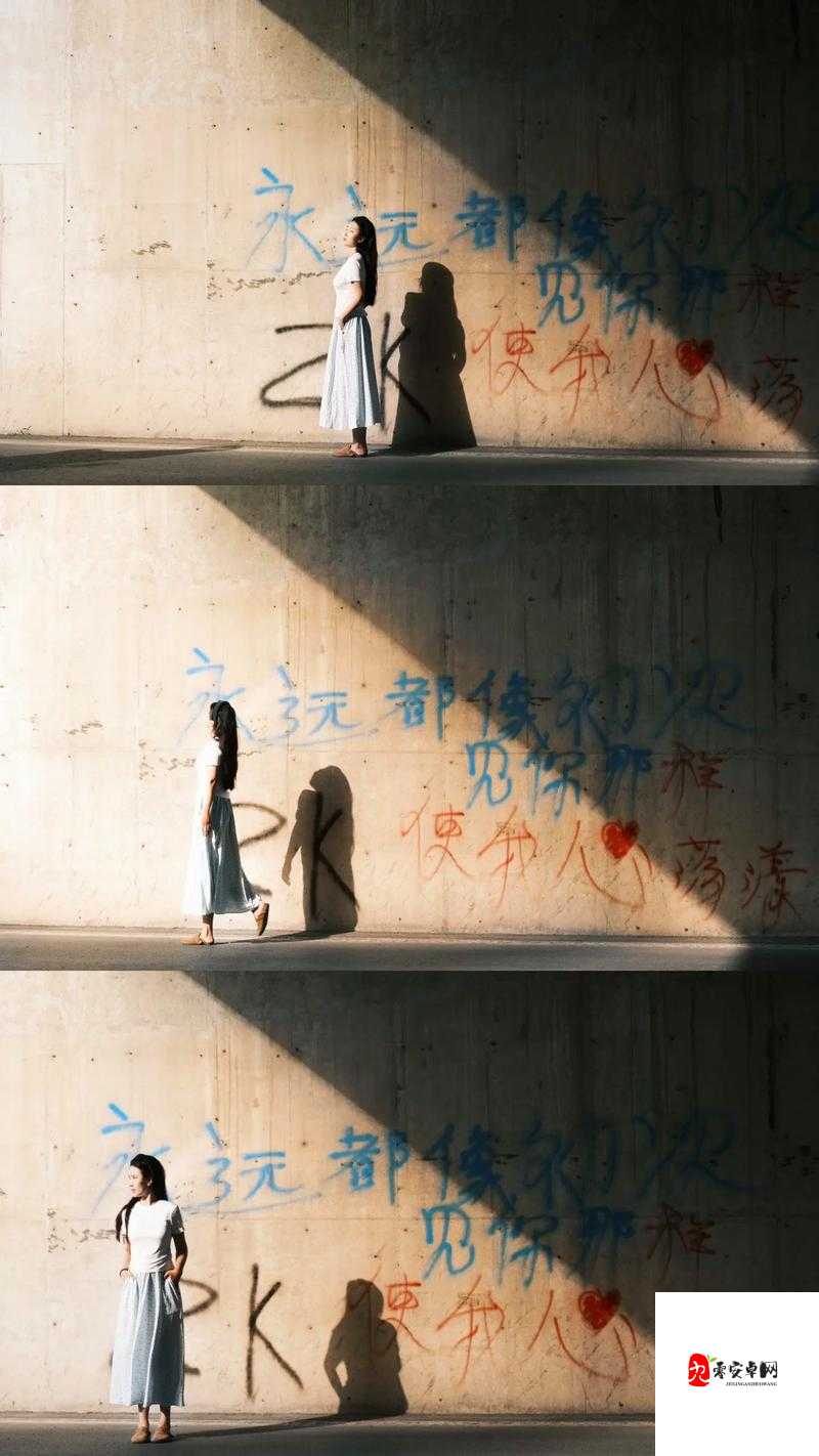 b 站入口 2024 永不关闭：陪伴我们一路前行的坚定承诺