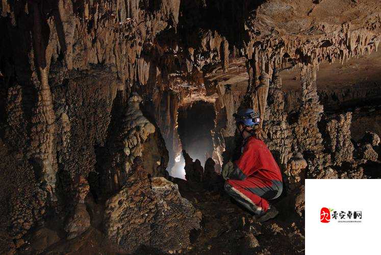 无人区一码二码三码四码：探索未知领域的神秘编码