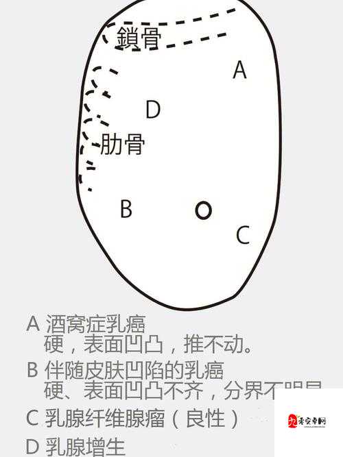 女性在巅峰时期抽搐原因探析及应对措施