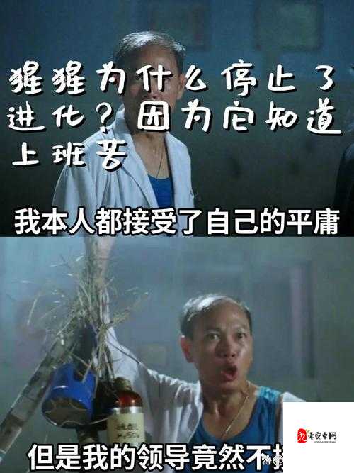 当初牛夫人现在小甜甜：从嫌弃到喜爱的奇妙转变