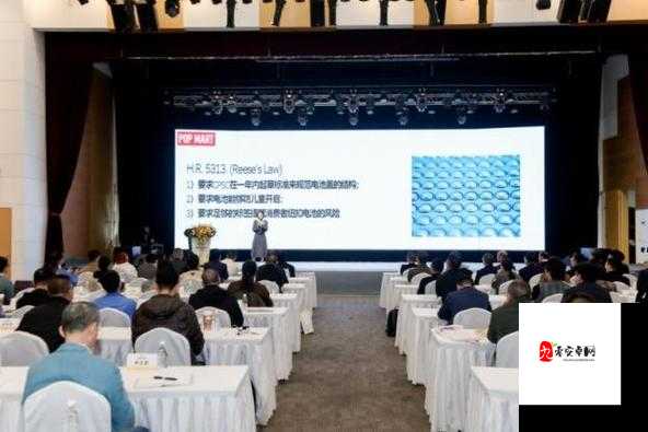 国产矿转码专一 2024：提供内容更丰富的专业探索与创新实践