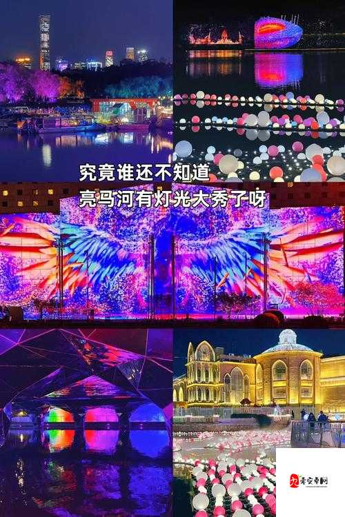 99 久视频只有精品 2019：呈现精彩视觉盛宴