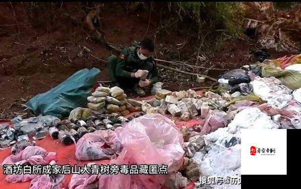 变态 AV 缅甸北部色黄网站：揭秘其背后的邪恶与危害